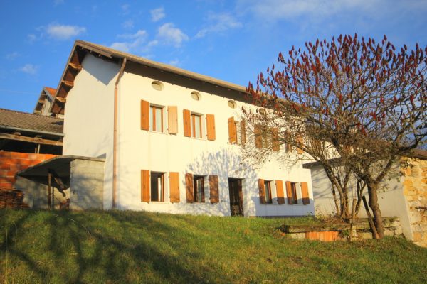 Sant'Antonio Tortal. Porzione terra cielo con piccolo scoperto